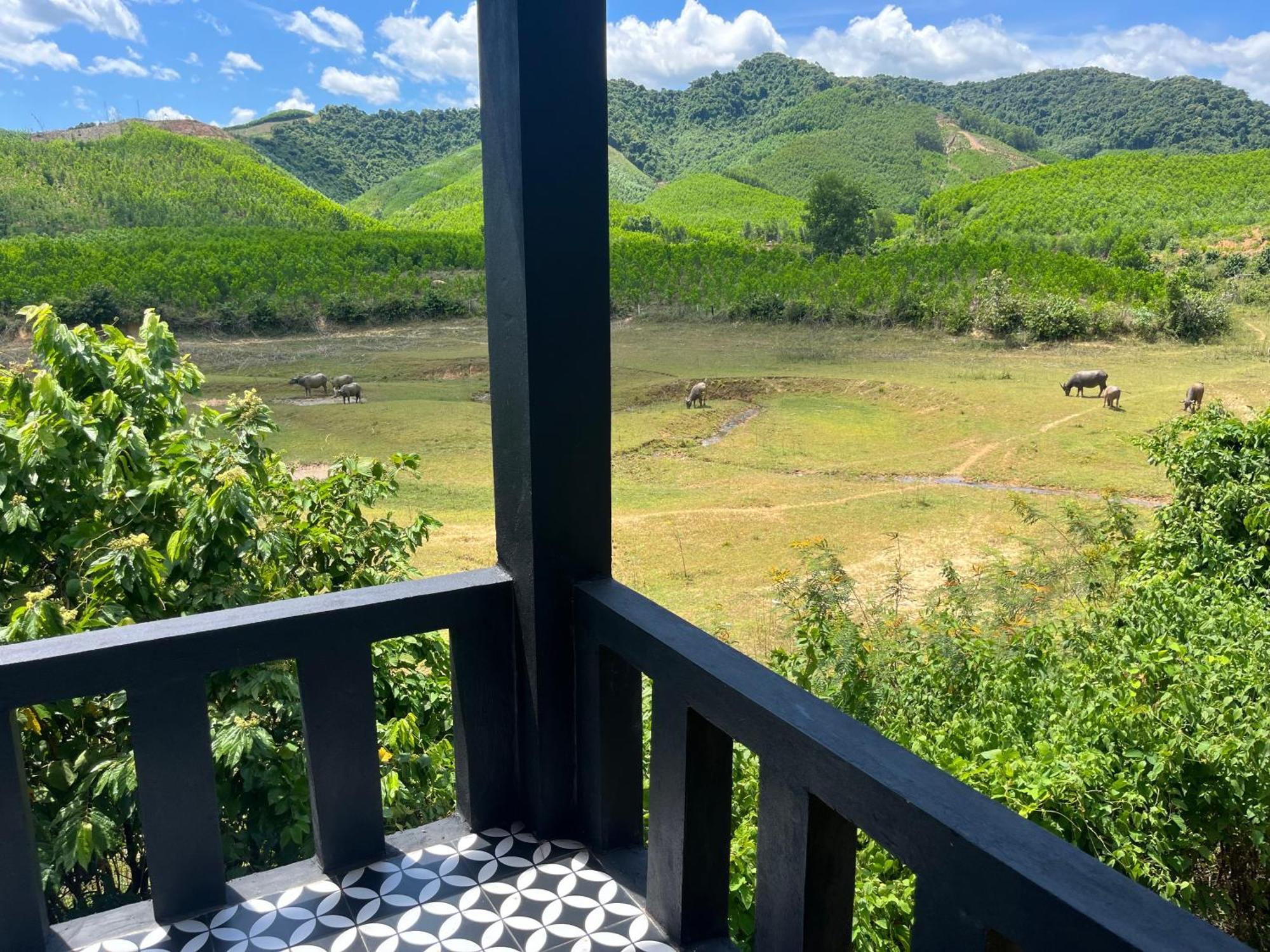 Nguyen Shack Retreat Resort فونغ نها المظهر الخارجي الصورة