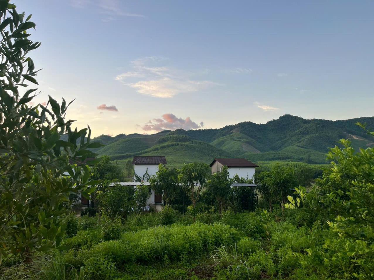 Nguyen Shack Retreat Resort فونغ نها المظهر الخارجي الصورة