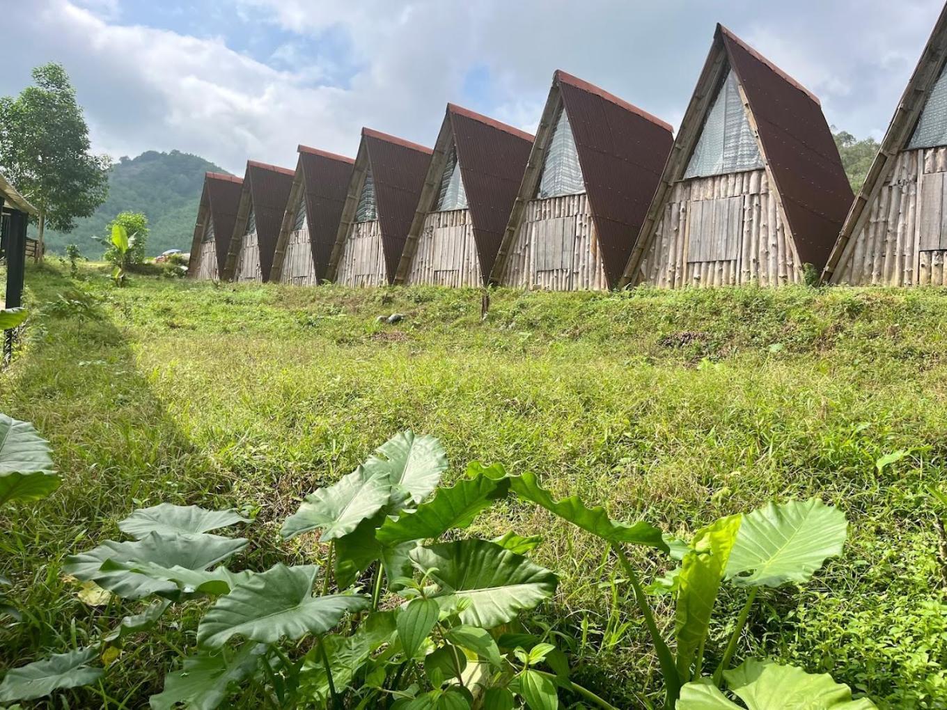 Nguyen Shack Retreat Resort فونغ نها المظهر الخارجي الصورة